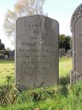 image of grave number 609932